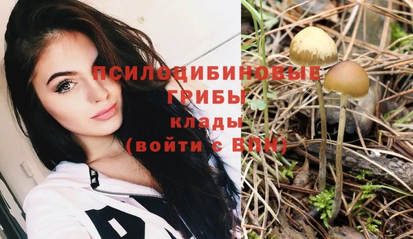 твердый Сатка