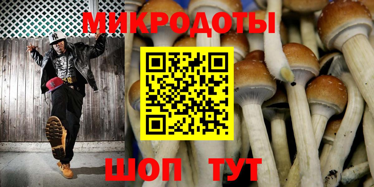 Псилоцибиновые грибы мухоморы  Вход с VPN  Татарск  Галлюциногенные грибы прущие грибы 