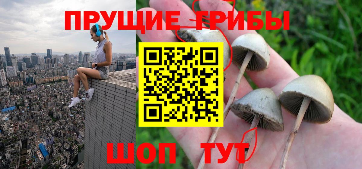 Галлюциногенные грибы прущие грибы Татарск